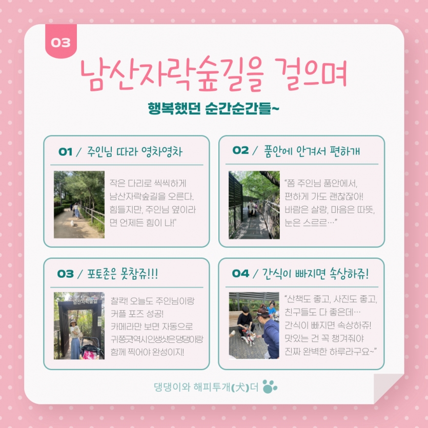 도심 속 자연을 함께 걸으며, 반려견과 보호자 간의 유대감을 더욱 깊이 다지는 뜻깊은 시간이었습니다.