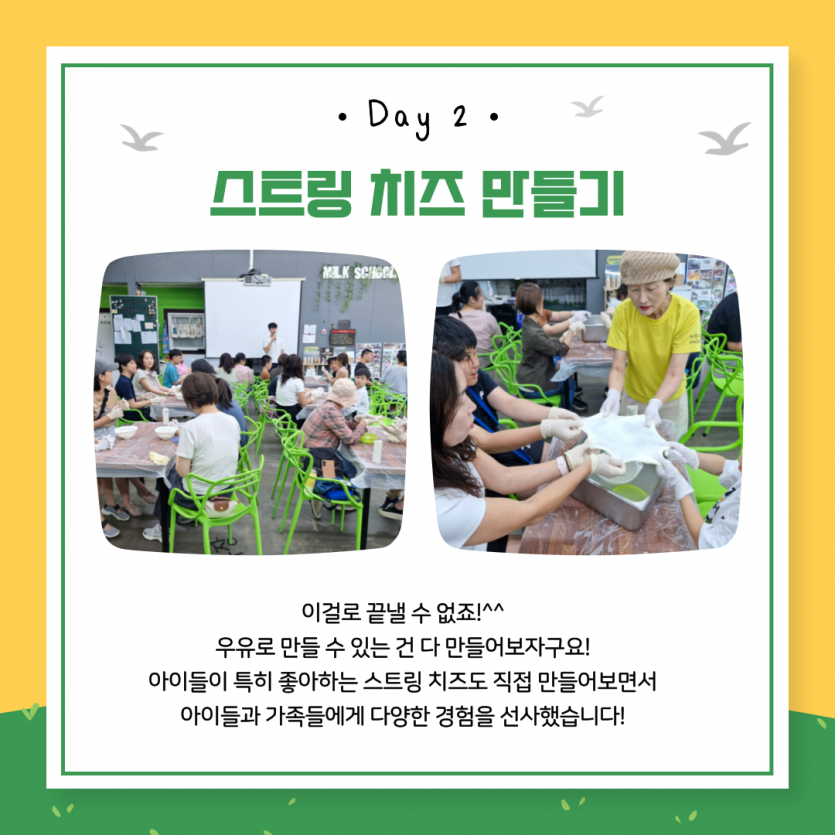 치즈만들기