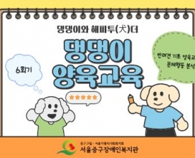 댕댕이와 해피투개더 댕댕이 양육교육