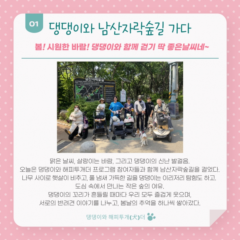 맑은 날씨, 살랑이는 바람, 그리고 댕댕이의 신난 발걸음. 오늘은 댕댕이와 해피투개더 프로그램 참여자들과 함께 남산자락숲길을 걸었다. 나무 사이로 햇살이 비추고, 풀 냄새 가득한 길을 댕댕이는 이리저리 탐험도 하고.  도심 속에서 만나는 작은 숲의 여유. 댕댕이의 꼬리가 흔들릴 때마다 우리 모두 즐겁게 웃으며, 서로의 반려견 이야기를 나누고, 봄날의 추억을 하나씩 쌓아갔다.