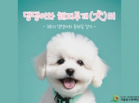 댕댕이와 해피투개(犬)더 3회기 활동