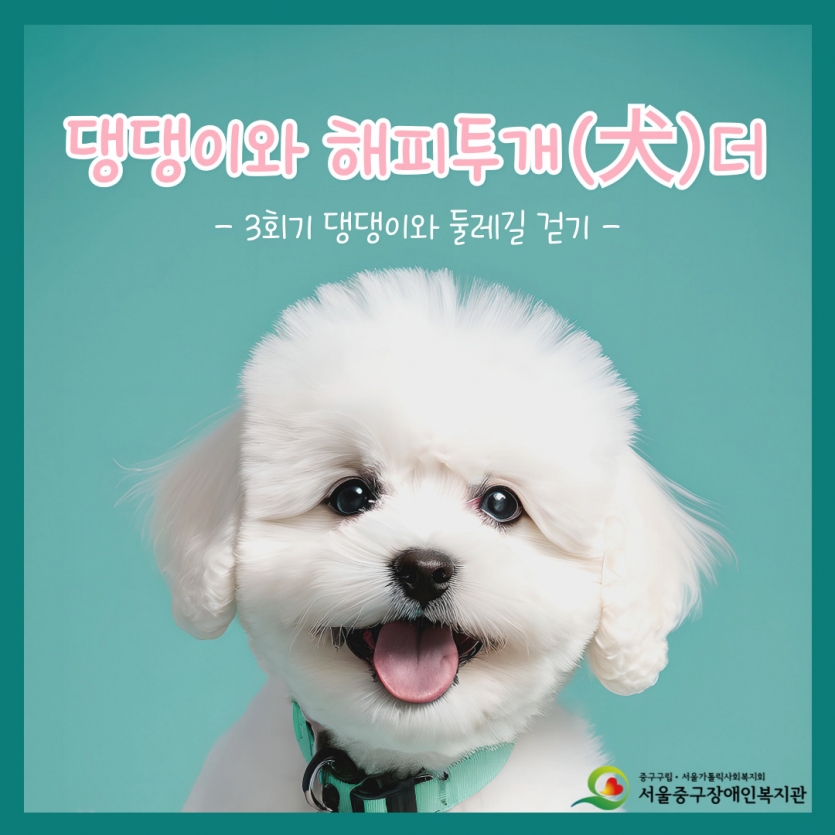 댕댕이와 해피투개(犬)더 3회기 활동