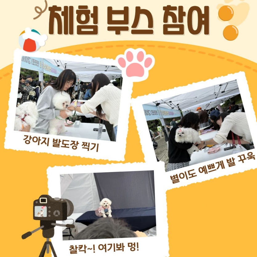 체험 부스 참여 강아지 발도장 찍기, 별이도 예쁘게 발 꾸욱, 찰칵~! 여기봐 멍!