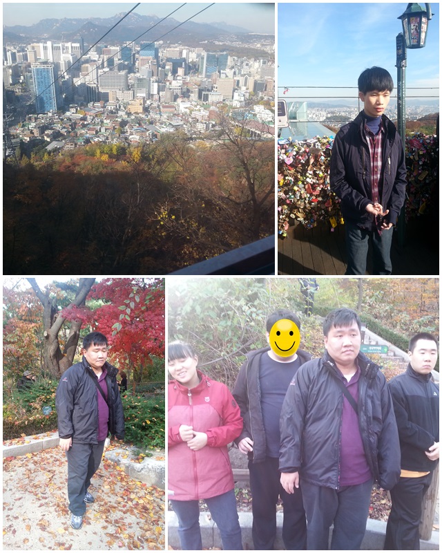 남산 케이블카 체험 & 단풍구경